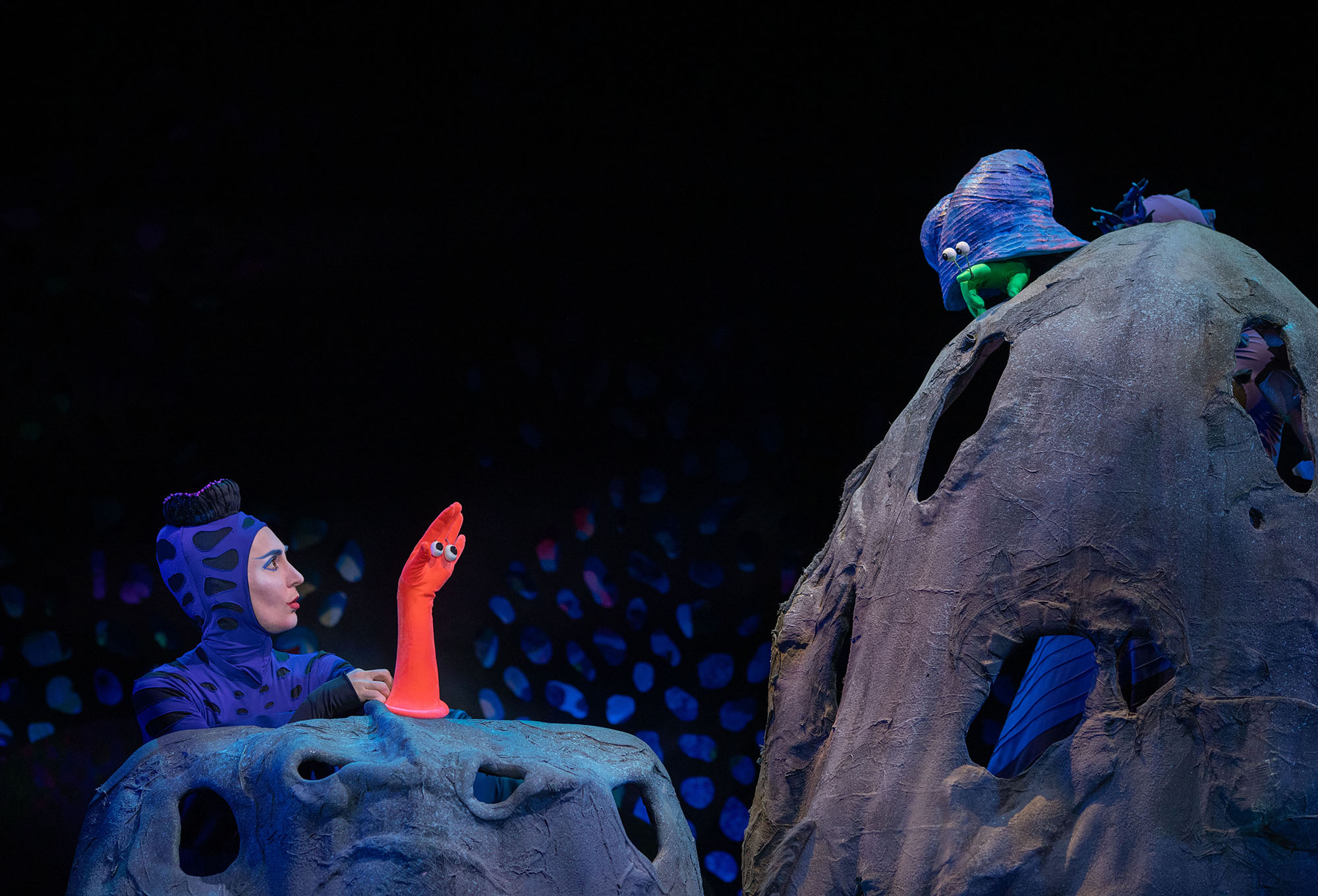 Отшельник и Роза