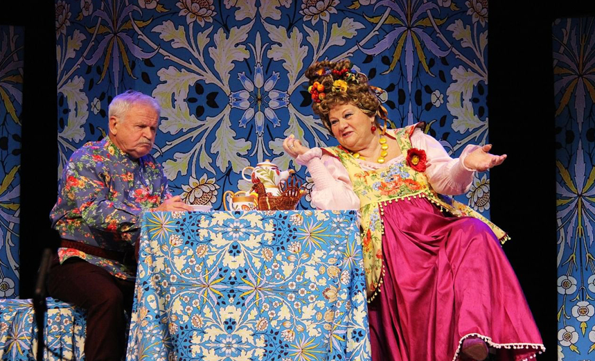 Не в свои сани не садись