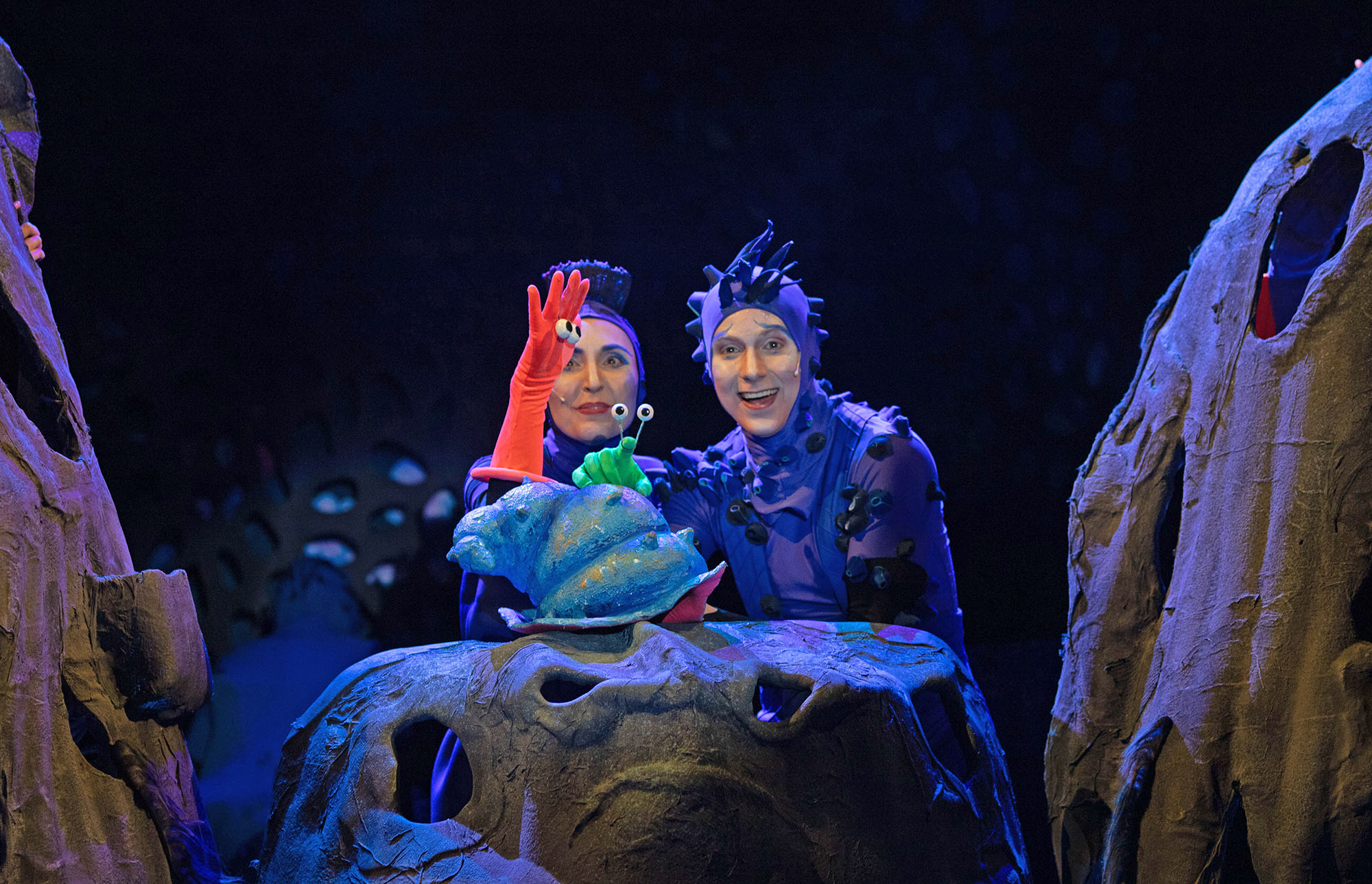 Отшельник и Роза