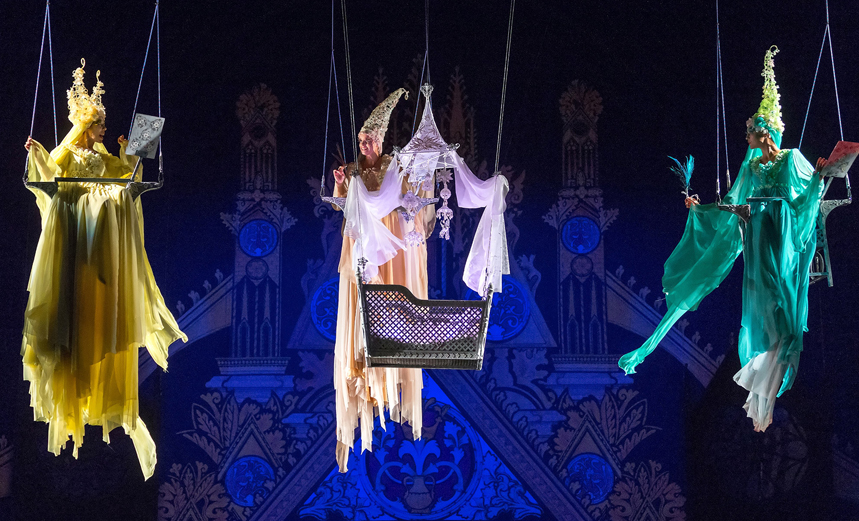 Спящая красавица