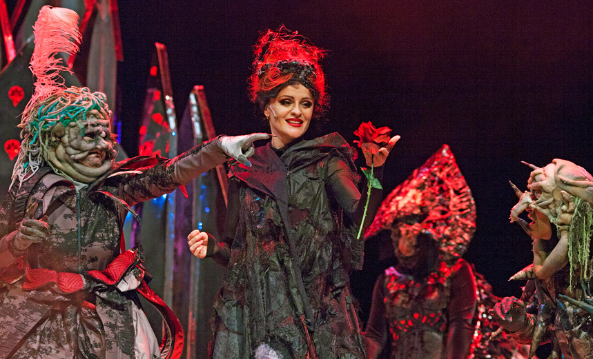 Спящая красавица